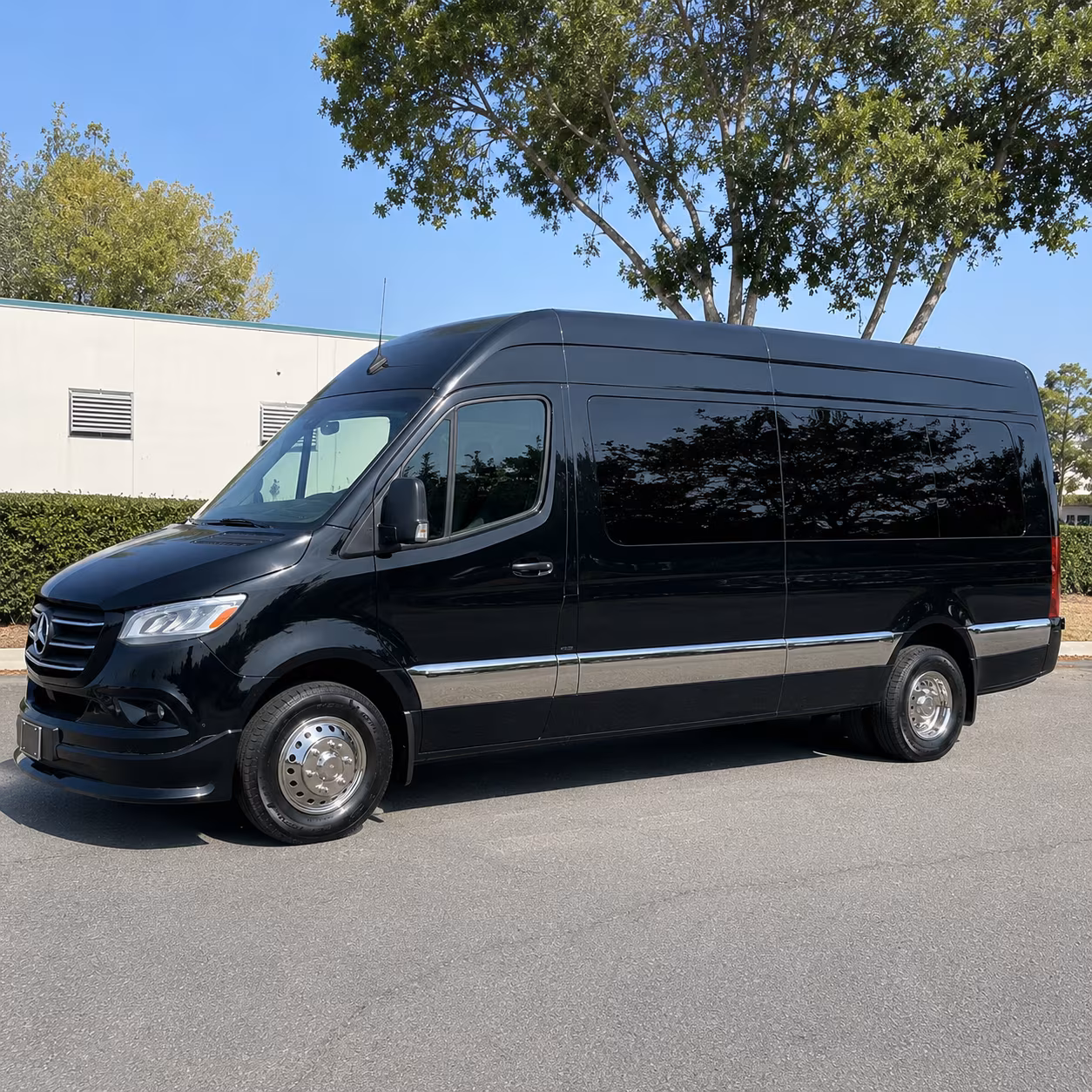 Goodyear Wedding Transportation & Shuttle Service