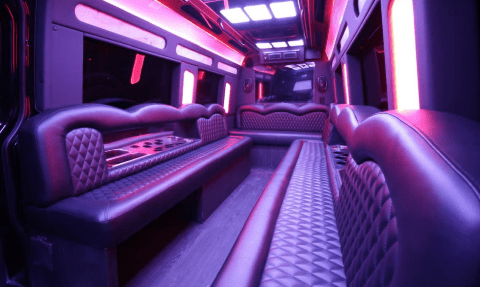 Tucson 14 Passenger Sprinter Bus Interior